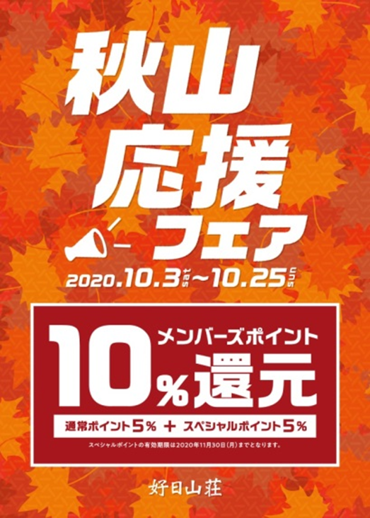 サレワ ステルヴィオ ゴアテックスハードシェル レディースL - 登山用品