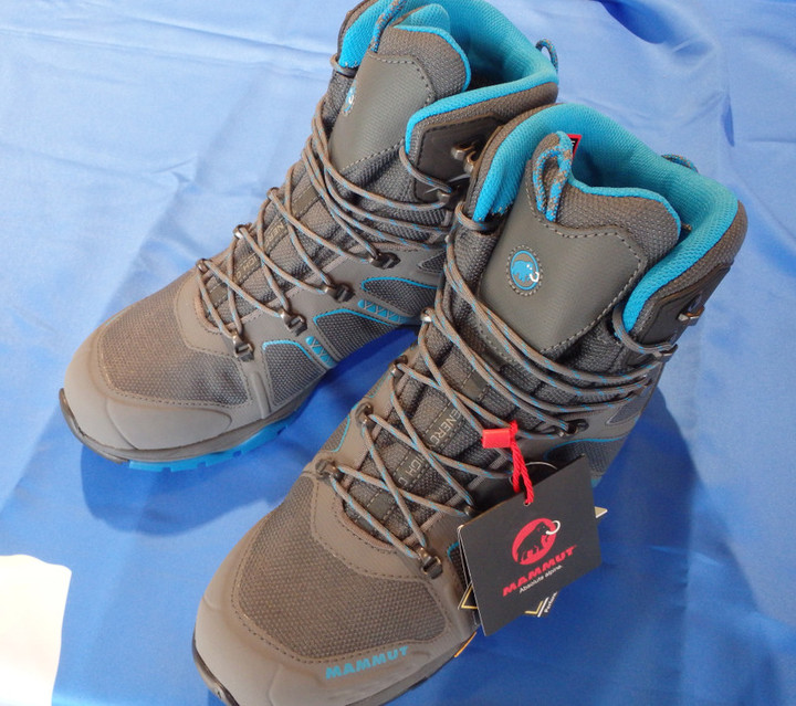 Amazon | mammut(マムート) Teton GTX Women java-bluestone 6