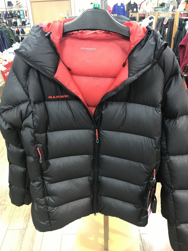 極暖750fil⭐️】MAMMUT ダウンジャケット ワインレッド 好日山荘 