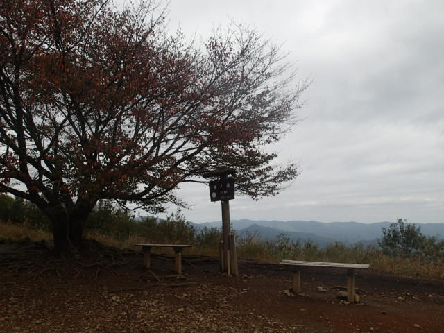 Pa280394_2