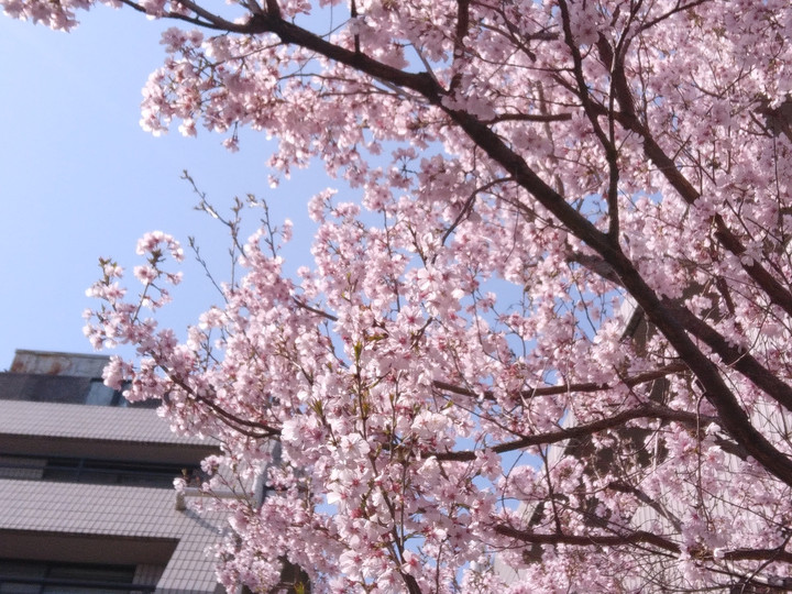 20190325_101658