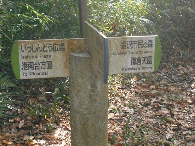 Photo_13