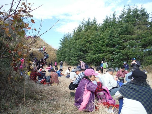 Photo_15