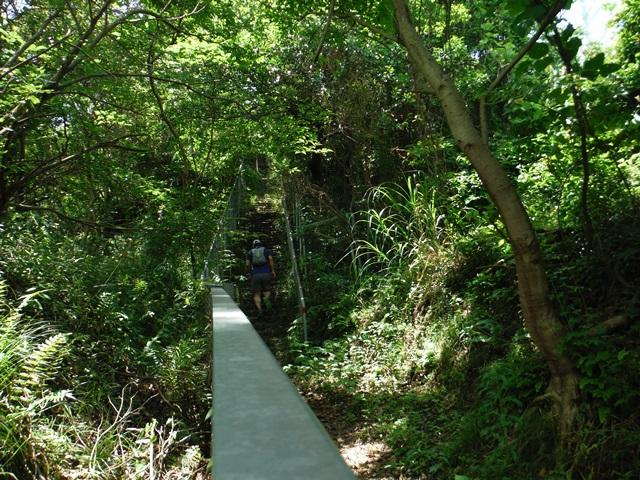 Photo_10