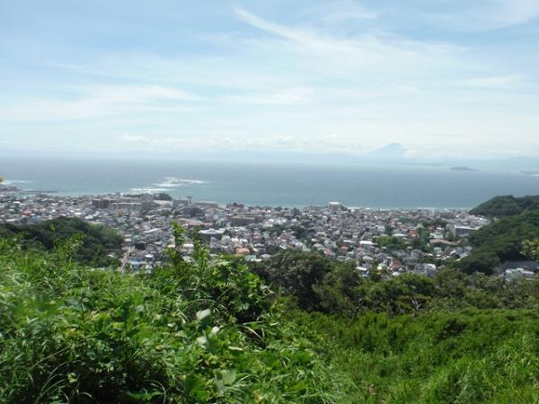 Photo_5