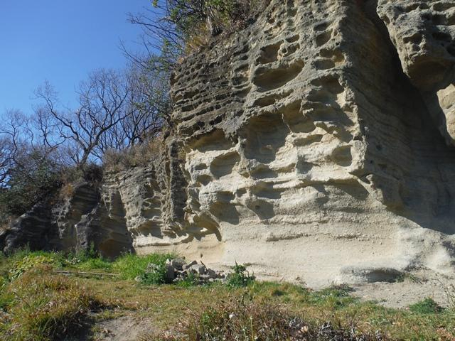 Photo_7