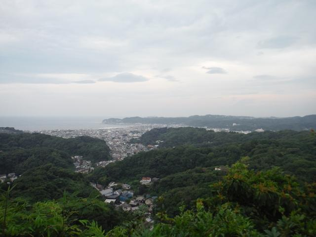Photo_8