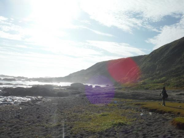 Photo_26