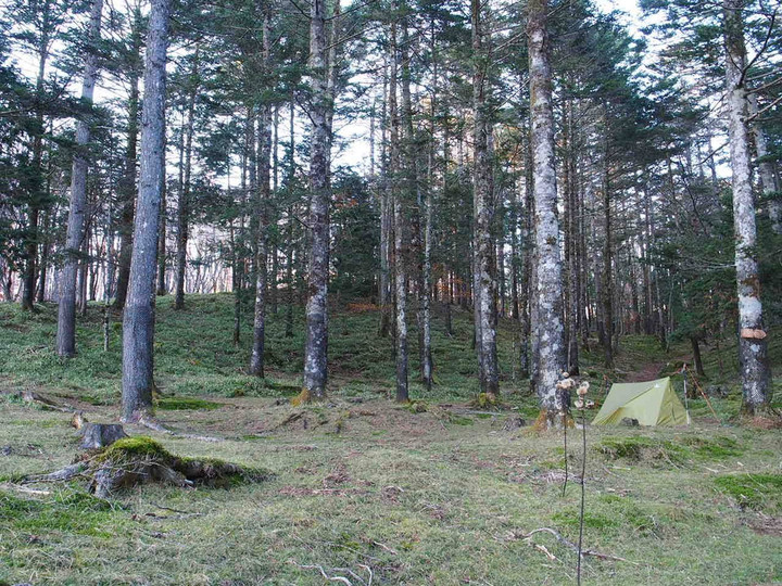 Pb050362
