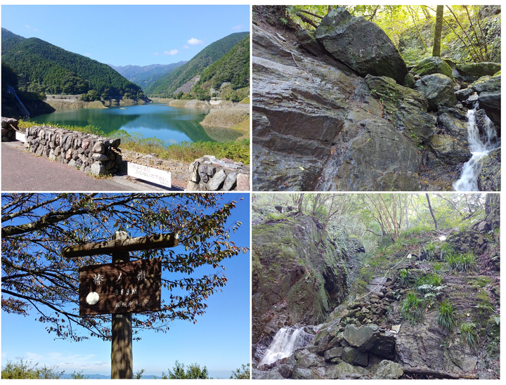 Blog