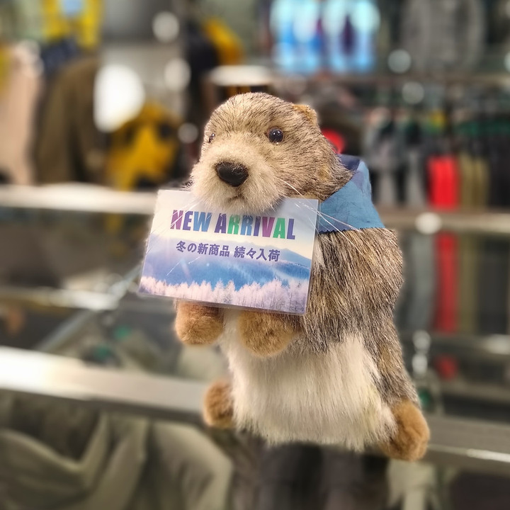 好日山荘 名古屋栄店 : MARMOT「YURI YOSUMI COLLABORATION」
