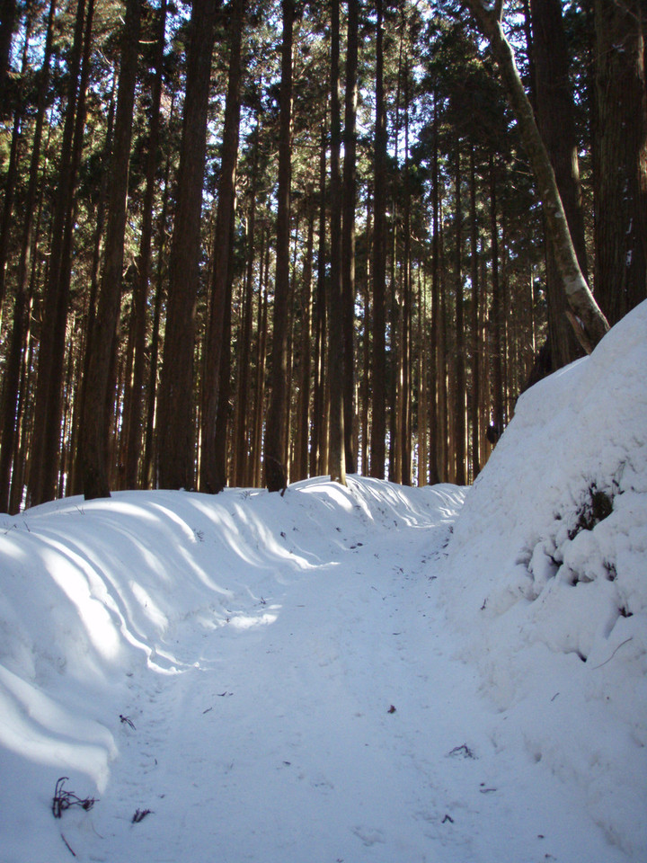 オファー 愛宕山 雪 ハイク サングラス