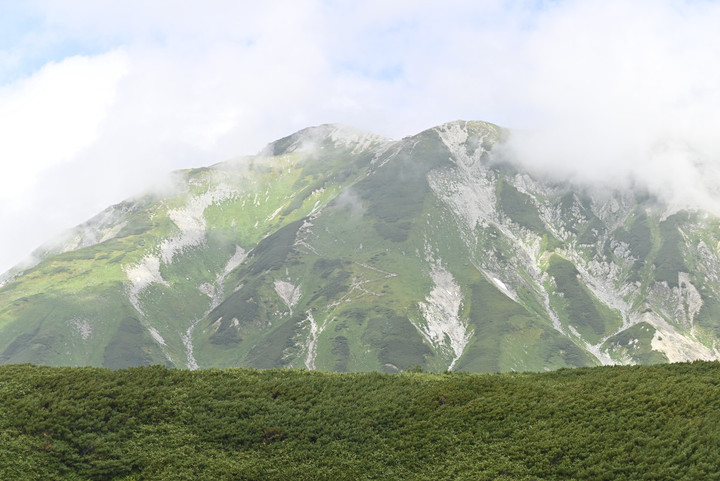_dsc0217