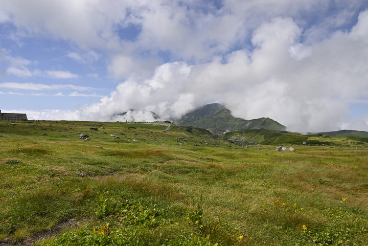 _dsc0227