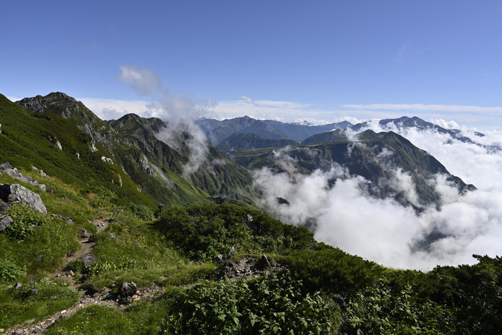 _dsc0250