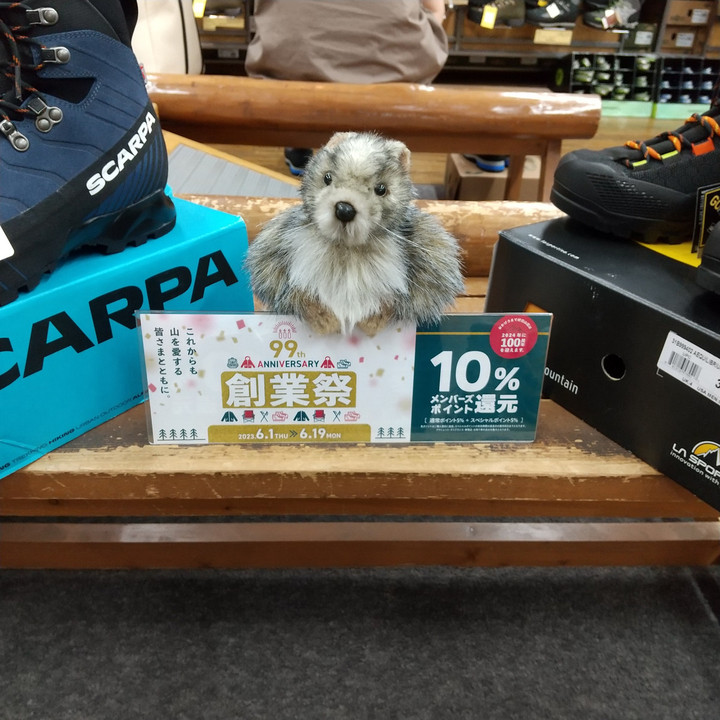 好日山荘 町田店 : 創業祭も最終日！！ぜひこの機会に買いたい