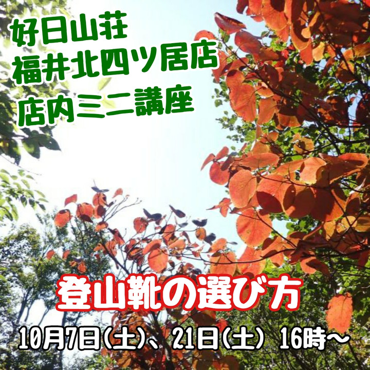 1696154758377
