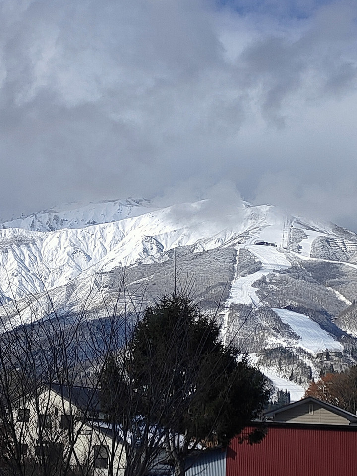 Img20231201095506