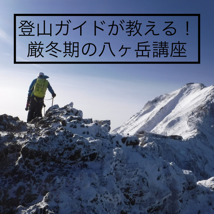 Garmont 厳冬期 登山靴 サイズ41.5 ガルモント（GARMONT）（メンズ、レディース）トレッキングシューズ