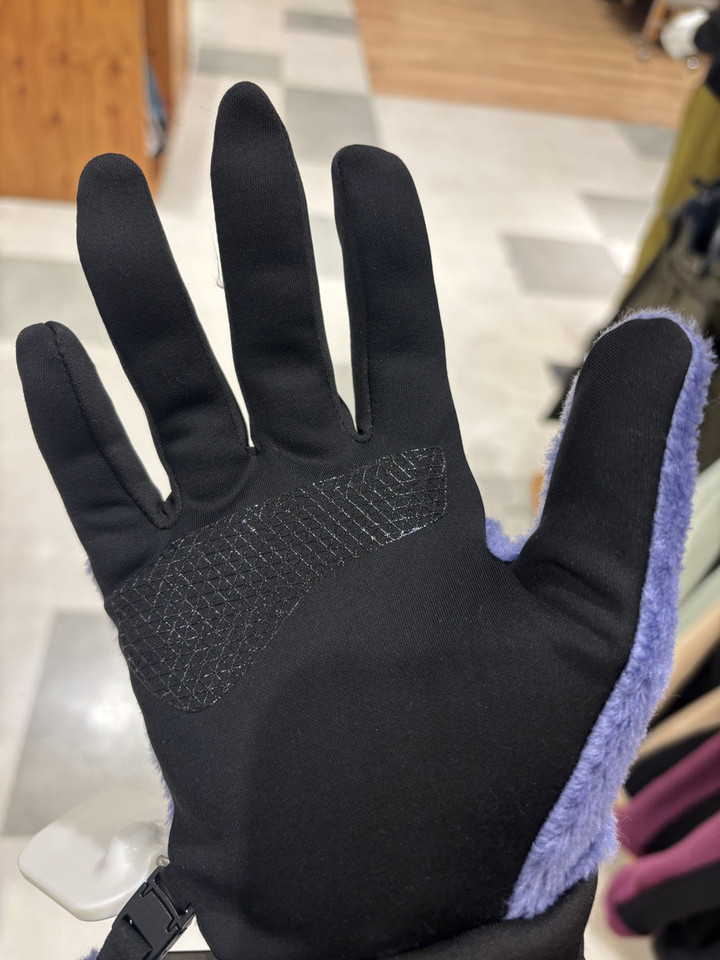 好日山荘 イオンモール東久留米店 : ノースフェイスのデナリイー