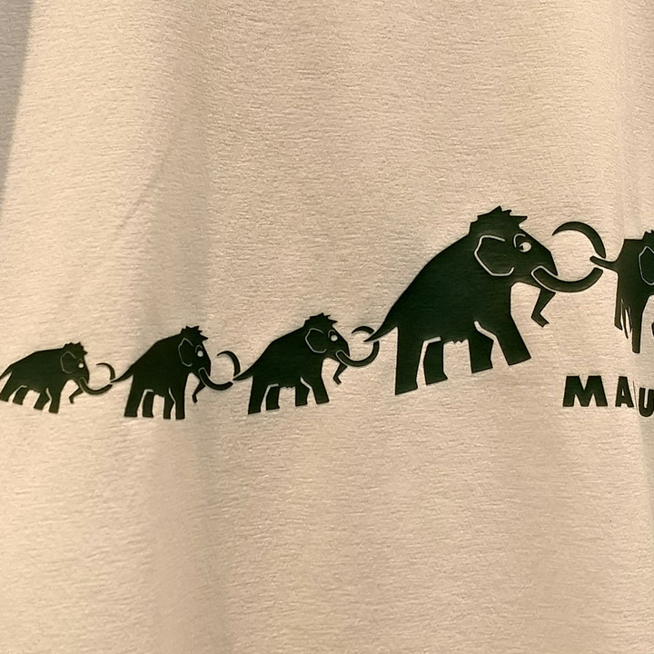 好日山荘 横浜西口店 : ＼＼MAMMUT クイックドライロゴT 好日山荘100
