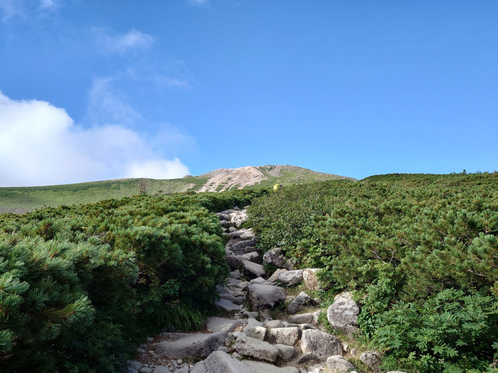 Thumbnail_20240807_163845_2