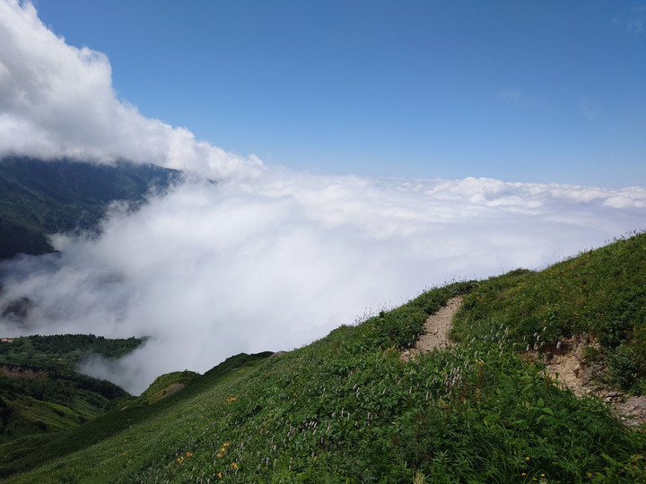 Thumbnail_20240808_105148