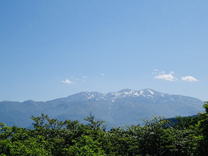 Photo_2