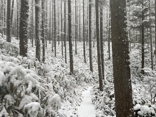 好日山荘 アルピコプラザ松本駅前店 : 明日はレディースデイです