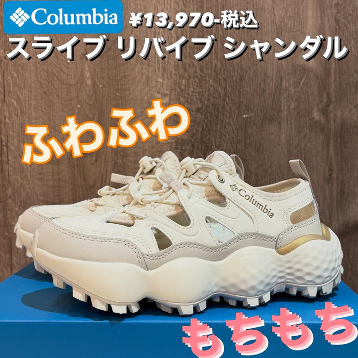 キプリスモルフォ！　コロンビア産 好日山荘 本厚木ミロード店 : 【新入荷】今年も人気！コロンビアから