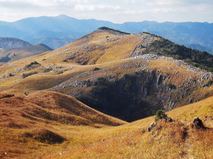 Fullsizerender_39 Fullsizerender_39