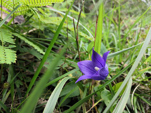 Img_20191017_123054 Img_20191017_123054