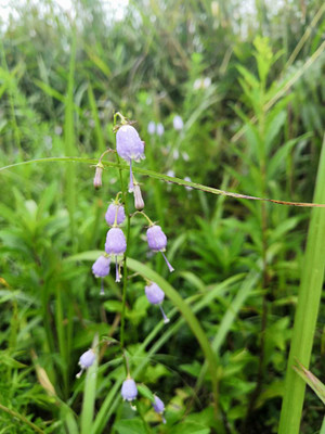 Img_20191017_144216 Img_20191017_144216