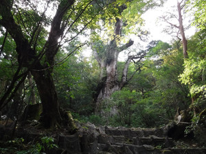 Photo_3