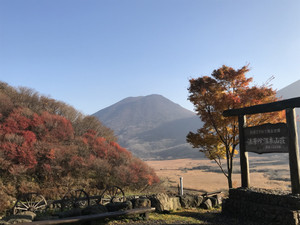 Thumbnail_img_2573