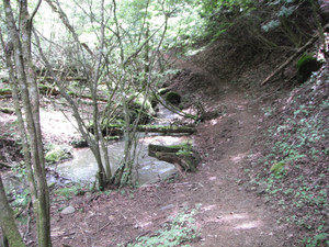 Dscf7093