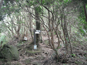 Dscf7330