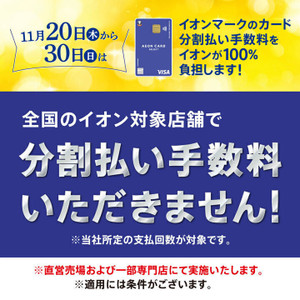 Image_20251120t164406116