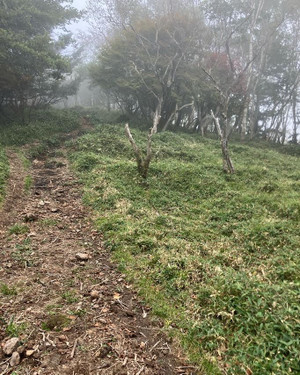 Takahara01 Takahara01