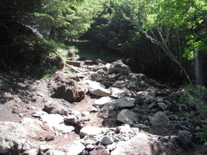Dscf7035
