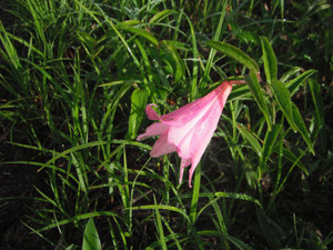 Dscf1076