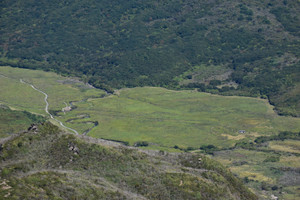 Dsc_0074