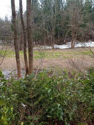 Photo_7