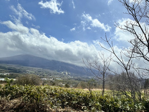 Photo_4