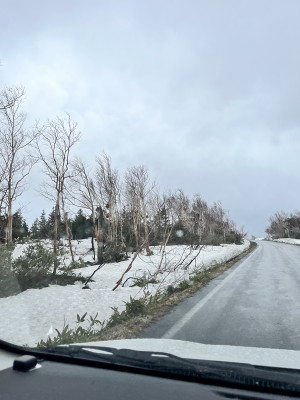 Photo_5