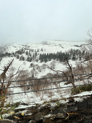 Photo_7