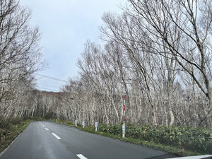 Photo_3