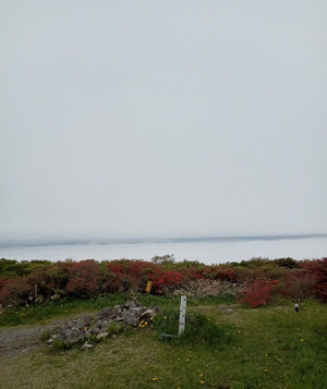 Photo_15