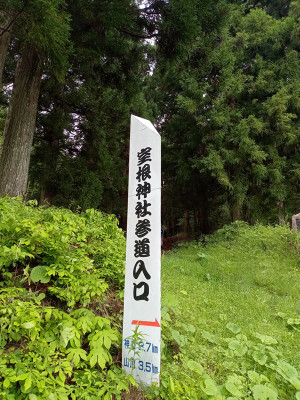 Photo_6