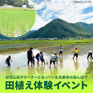 2505riceplanting_1080x1080